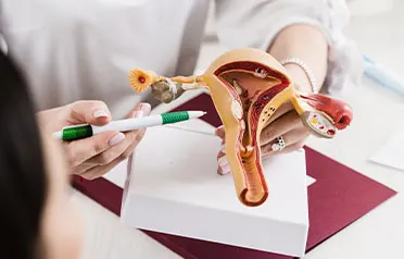 Médica ensinando como se prever do colo uterino