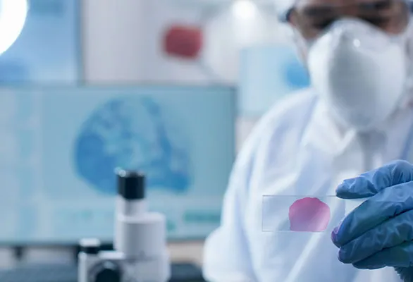 medico observando pequena amostra de sangue
